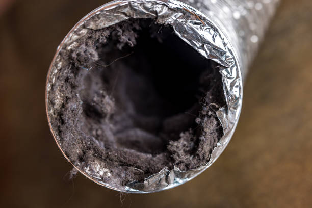 Best Residential Air Duct Cleaning  in Shorewood Hills, WI
