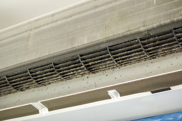 Best Air Duct Cleaning Near Me  in Shorewood Hills, WI
